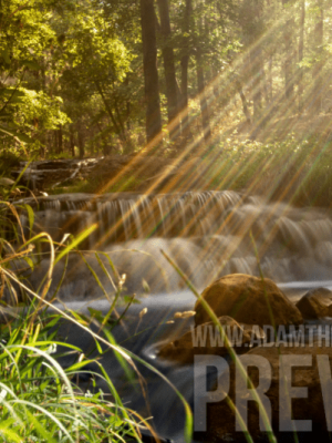 Rays Of Light Shine Over Peaceful Creek