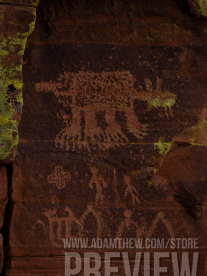 Red Rock Bear Petroglyph
