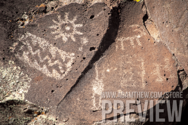 Picture Canyon Petroglyphs Panel