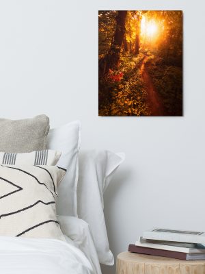 Morning Light Shines On Forest Path Metal Print