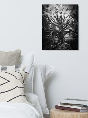 Spooky Tree Metal Print
